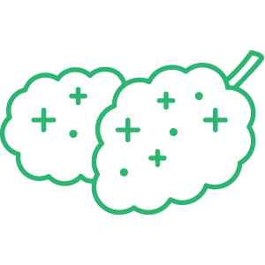 picture of marijuana flower